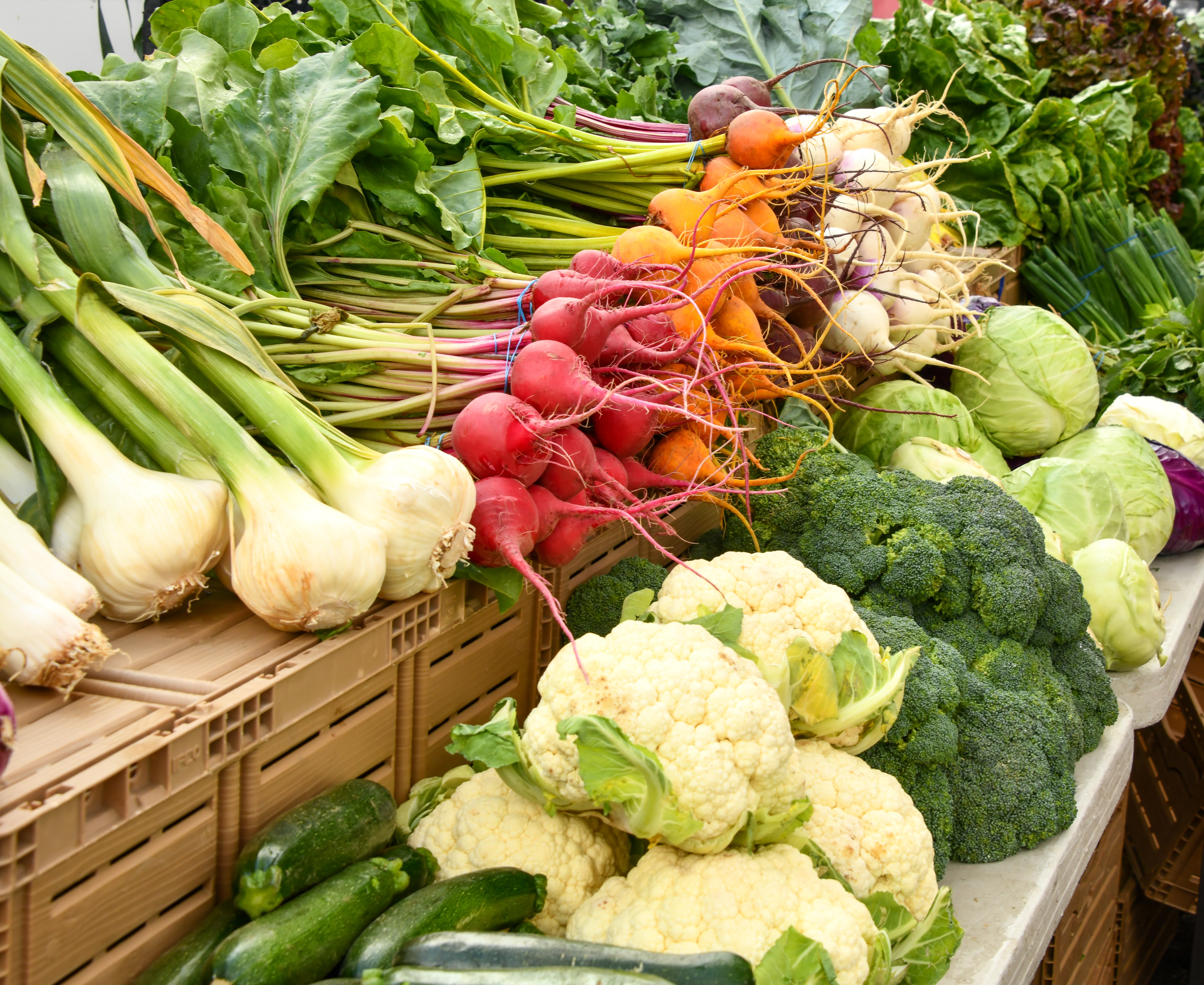 Cover image 1 for Global Produce & Floral Show