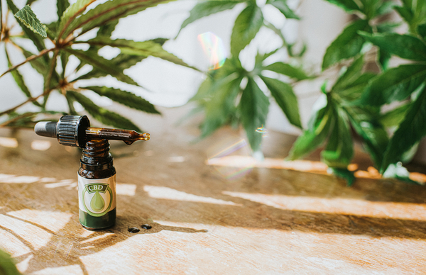 Cover image 1 for CBD beverage trends: What&rsquo;s new?