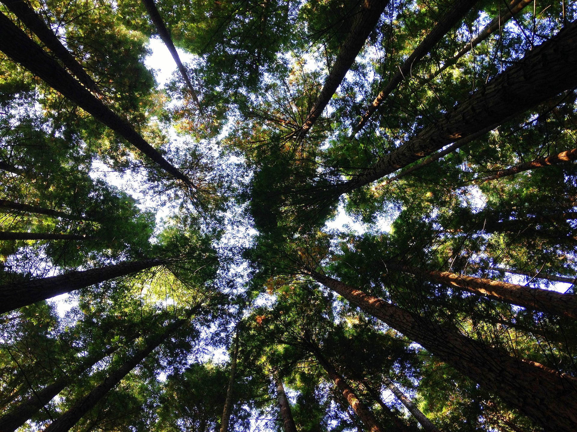 Cover image 1 for The changing climate of sustainability has reached a critical moment