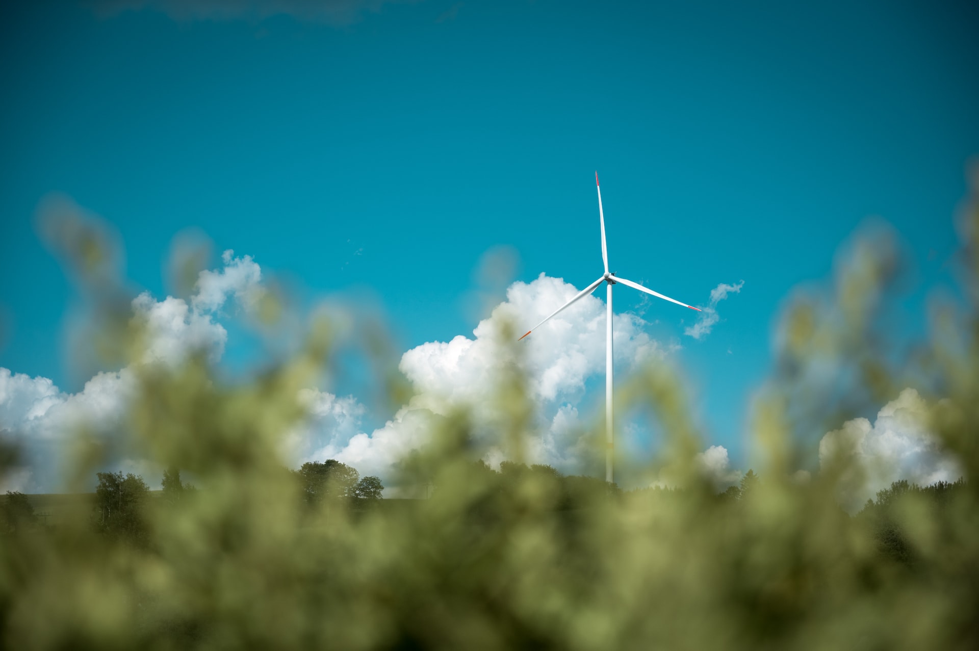 Cover image 6 for Global Sustainability Hub