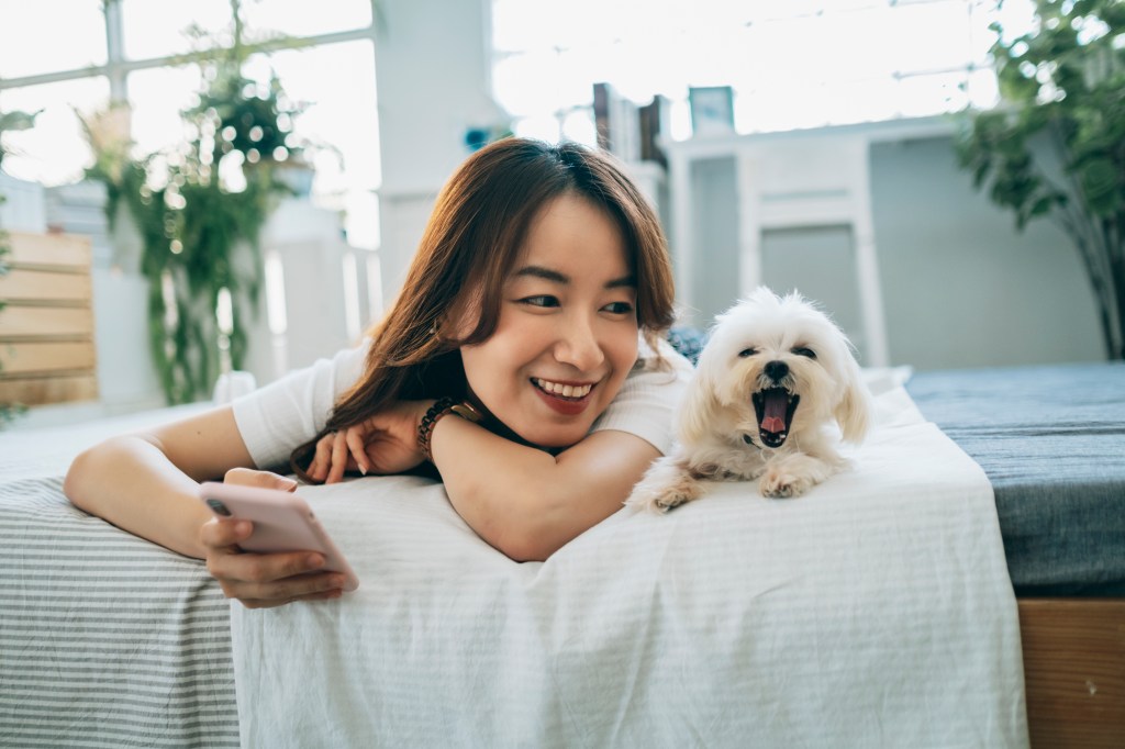 Inline image 1 for Pet food trends shaping the industry in 2023