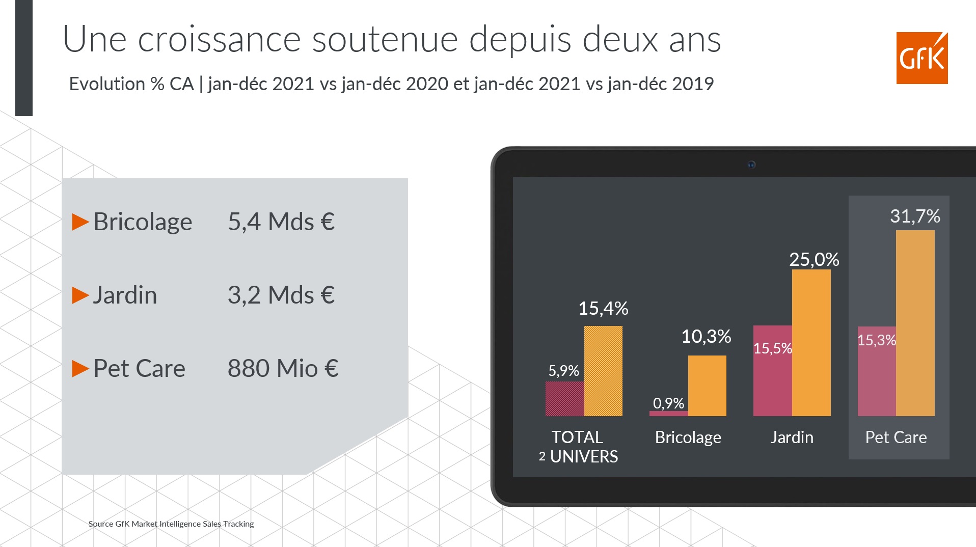 Image int&eacute;gr&eacute;e 4 pour Bilan 2021 d&eacute;penses Bricolage Jardinage PetCare France