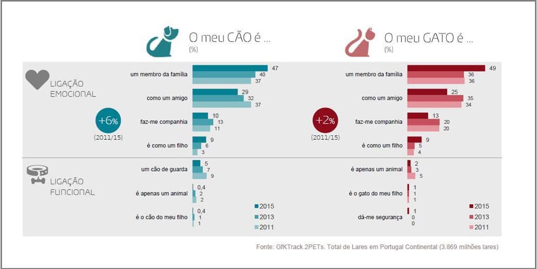 Imagem no conte&uacute;do 3 de Portugal &eacute; um pa&iacute;s Pet-Friendly