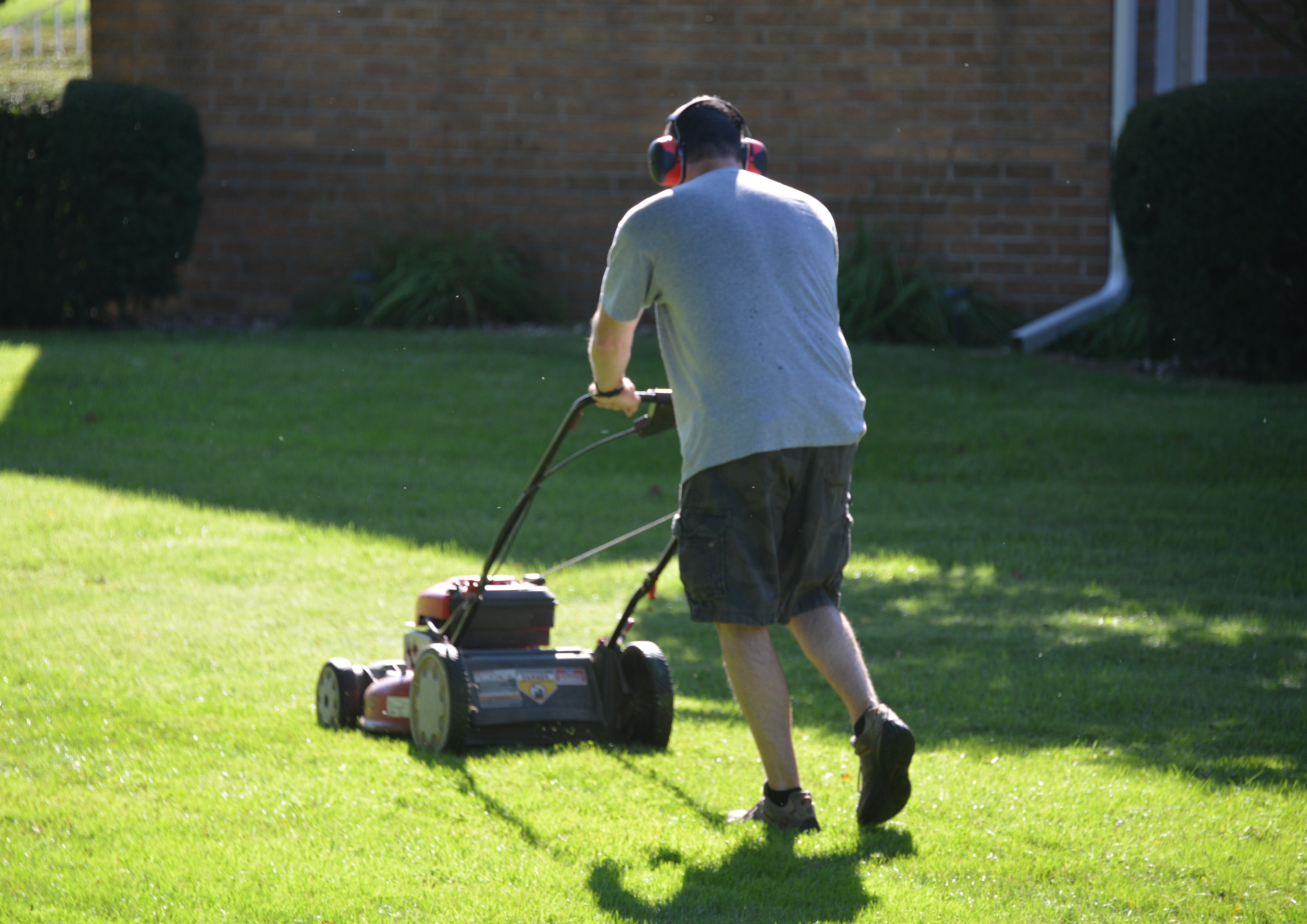 Cover image 1 for Power or Convenience? Driving Change in the Outdoor Lawn Equipment Market