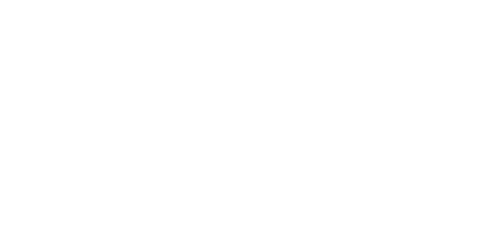 Immagine nel contenuto 21 di Linkontro