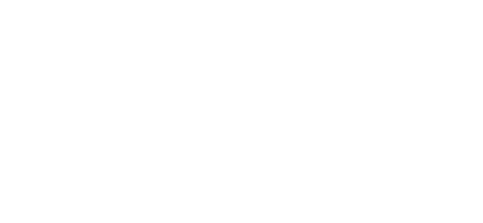 Immagine nel contenuto 15 di Linkontro