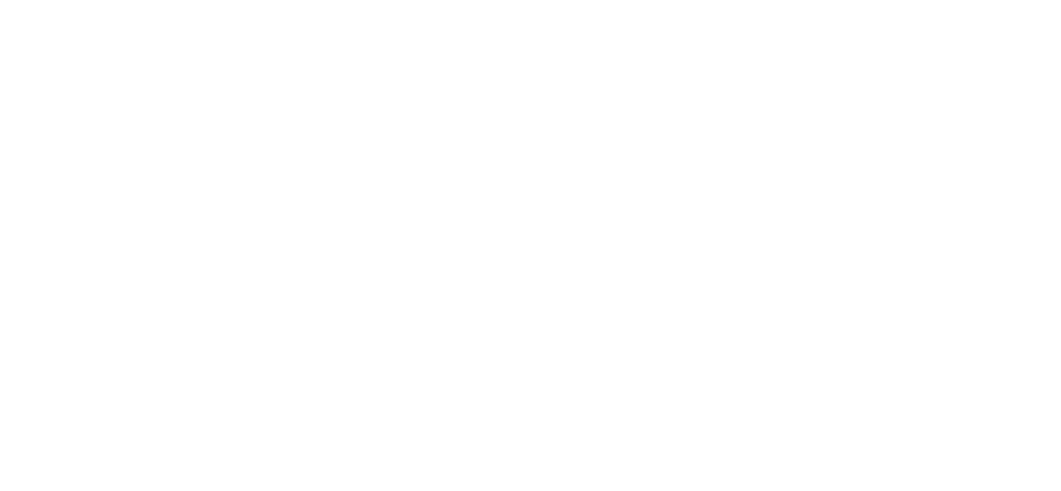 Immagine nel contenuto 18 di Linkontro