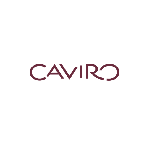 Caviro, sponsor company Linkontro 2025