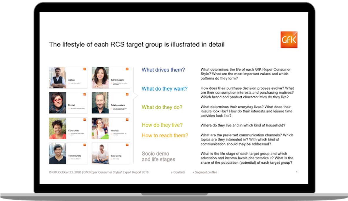 Inline image 1 for NIQ Roper Consumer Styles