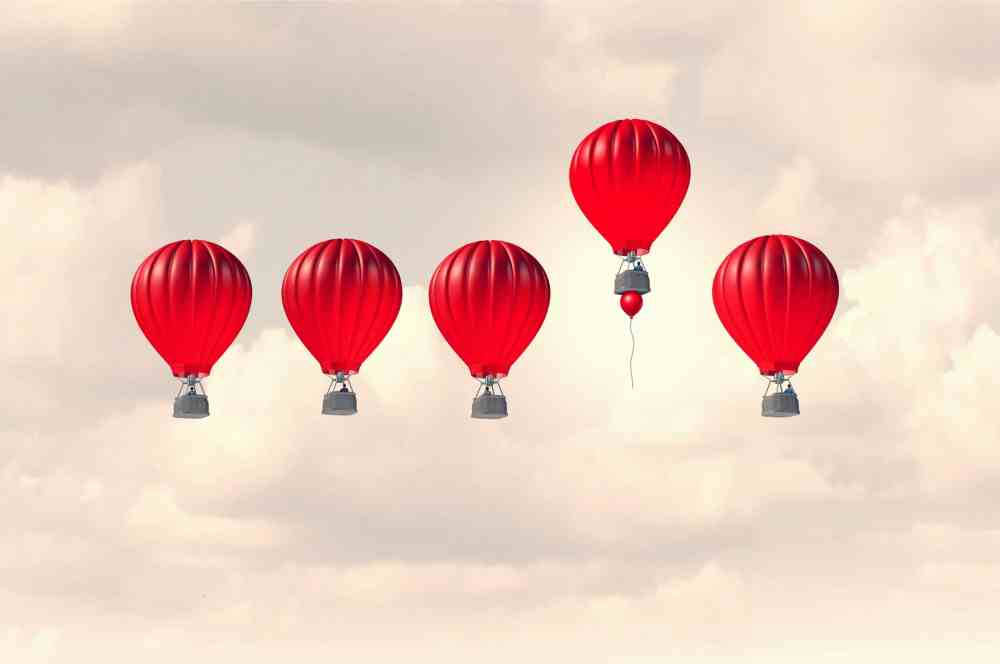Hero image for The Long Tail that Wagged the Dog: How Retailers can Create Competitive Advantage with Niche Products