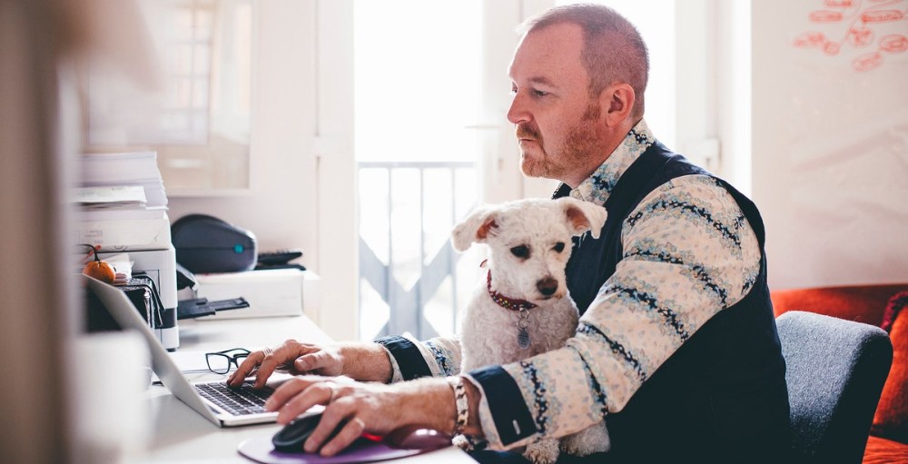 Hero image for The power of the basket: 3 ways pet product manufacturers can use basket insights to boost distribution