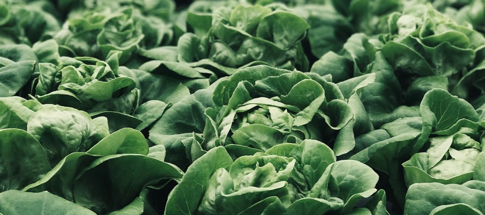 Hero image for Foodservice Price Index June 2023