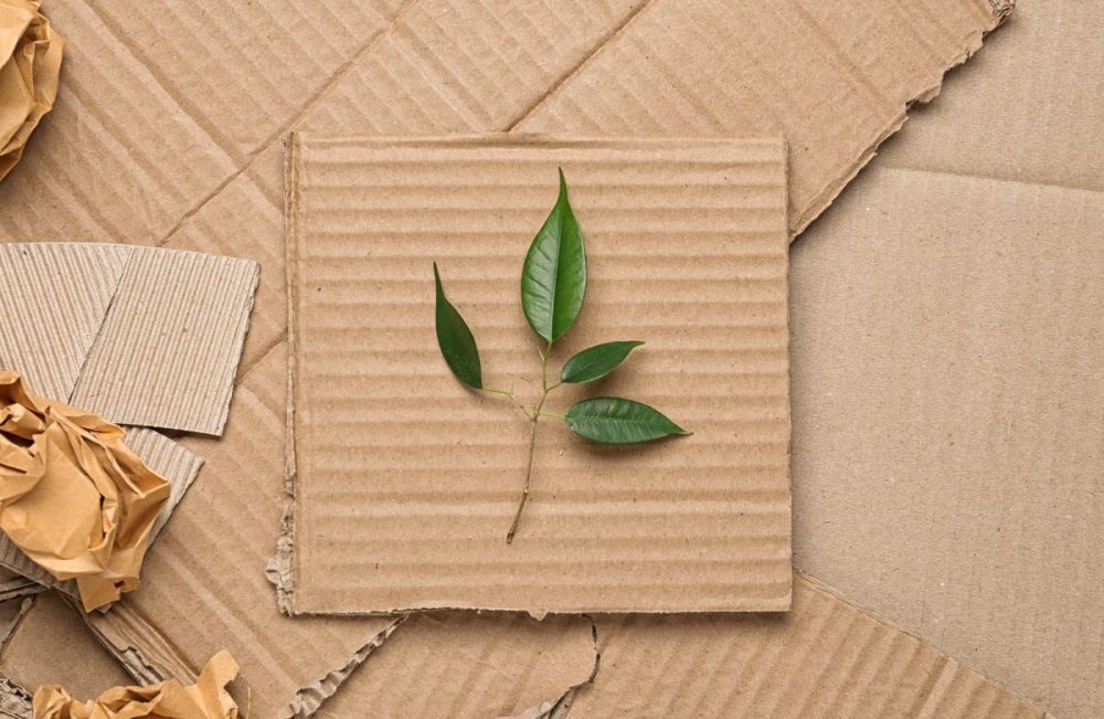 Hero image for Unpacking eco excellence: Assessing sustainable packaging impact on consumers