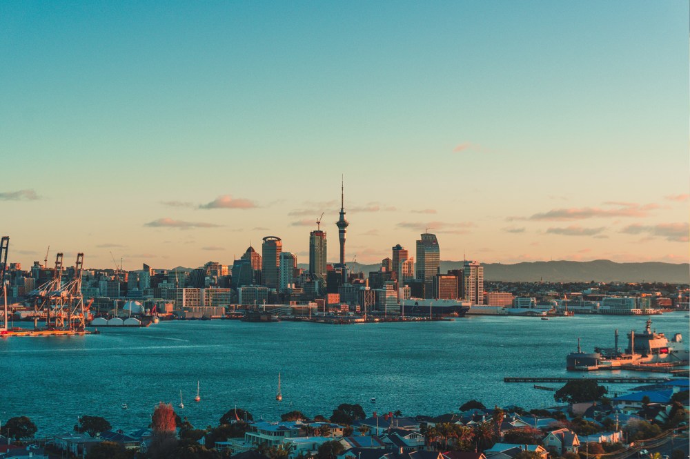 Hero image for New Zealand Pulse+ Reports