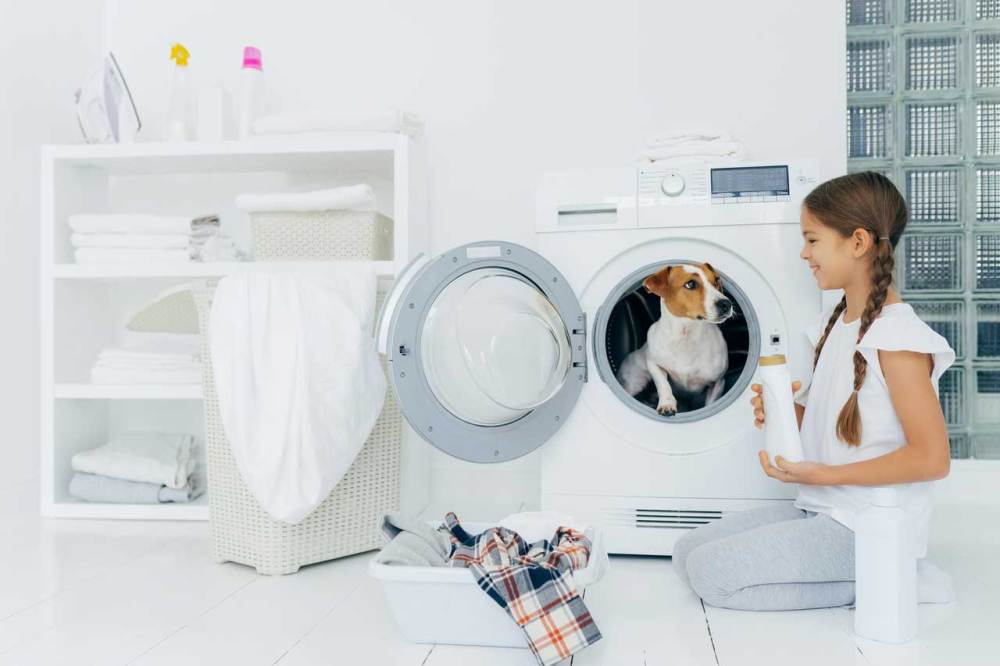 Young girl with ponytails holding laundry detergent in front of a washing machine with a dog that's inside poking his head out.