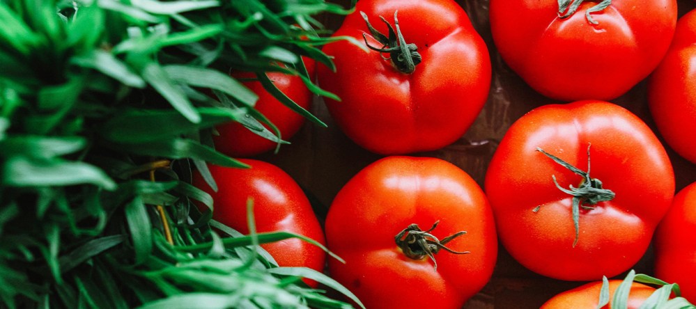 Hero image for Foodservice Price Index April 2024