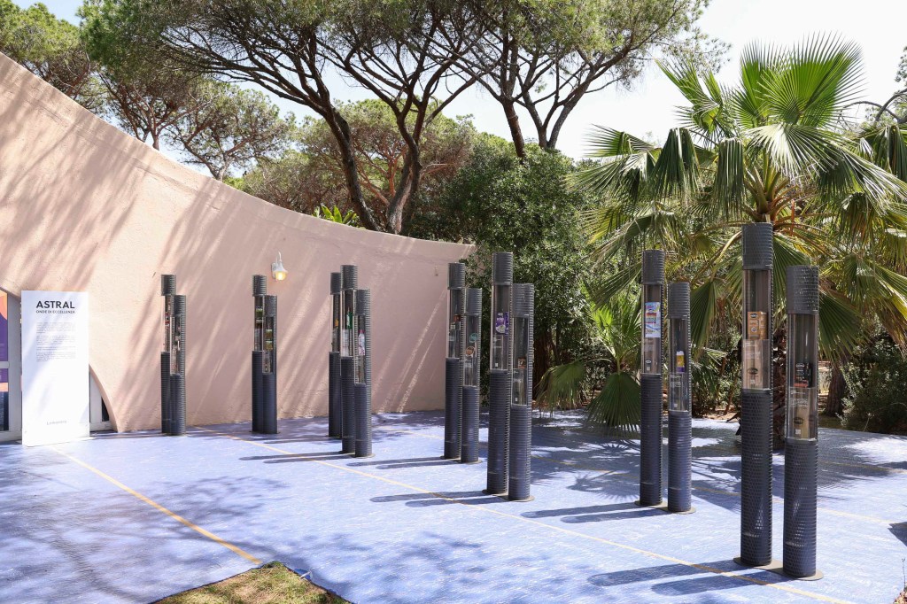 Immagine nel contenuto 102 di Galleria Linkontro 2024