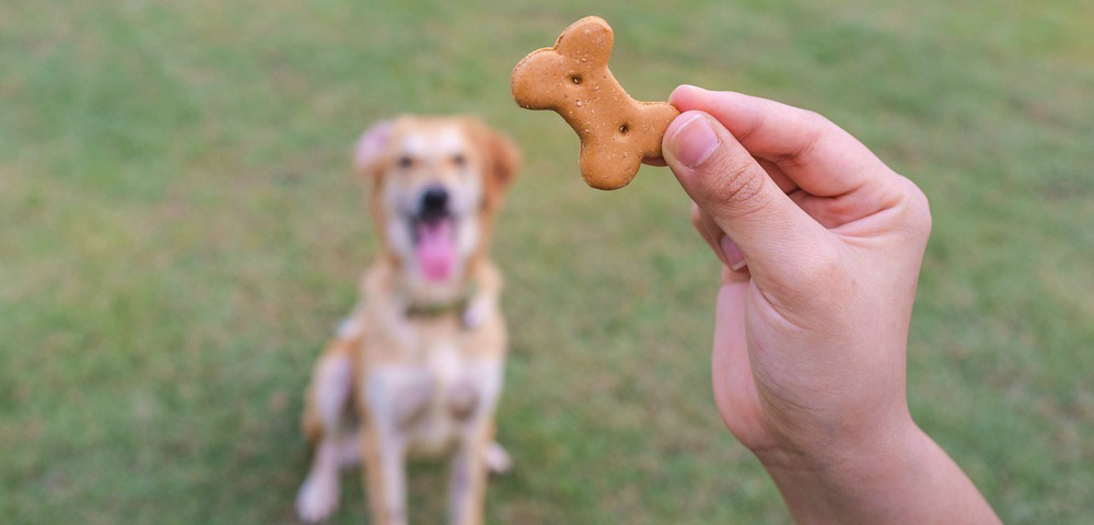 Inline image 1 for At Petfood Forum, GfK’s Lange will define sources of growth, concern in Pet Specialty market