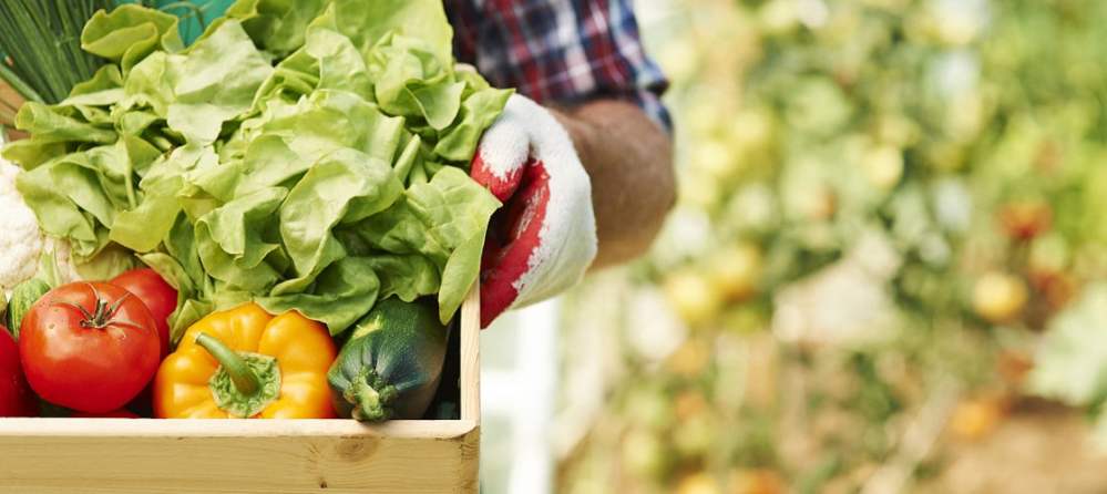 Hero image for Gardeners gets smart with robotic mowers