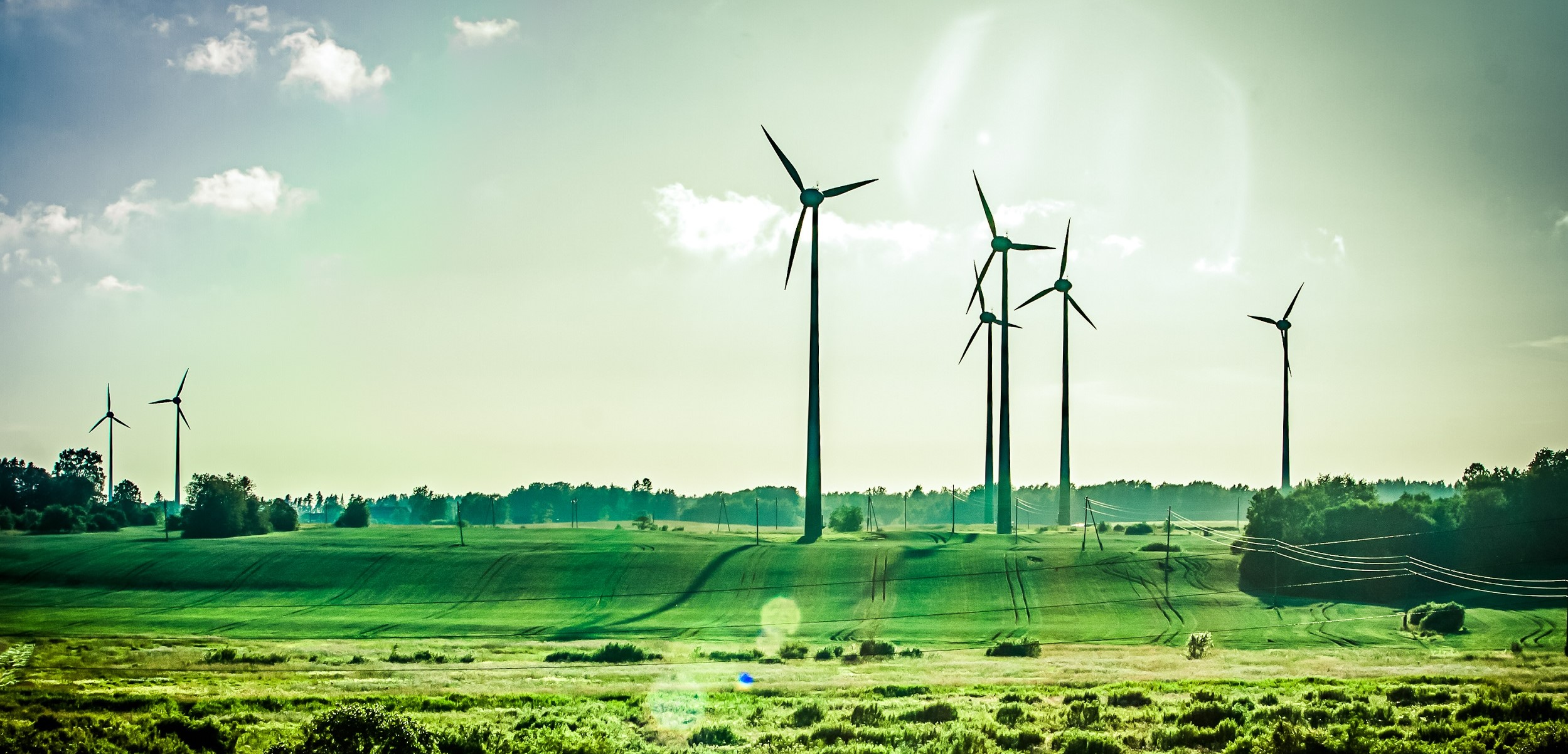 Inline image 2 for Belgians are light green at best: Sustainability is important