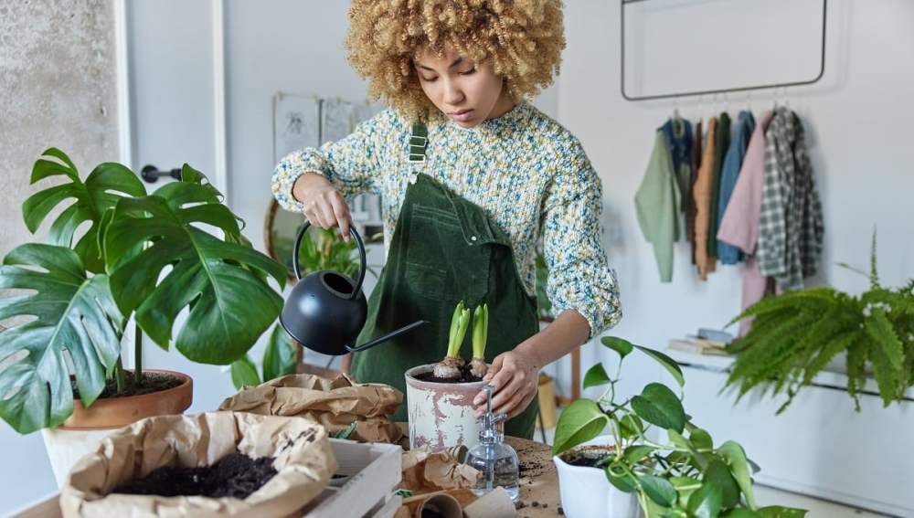 Hero image for Delivering value beyond the price tag in Gardening & Home Improvement