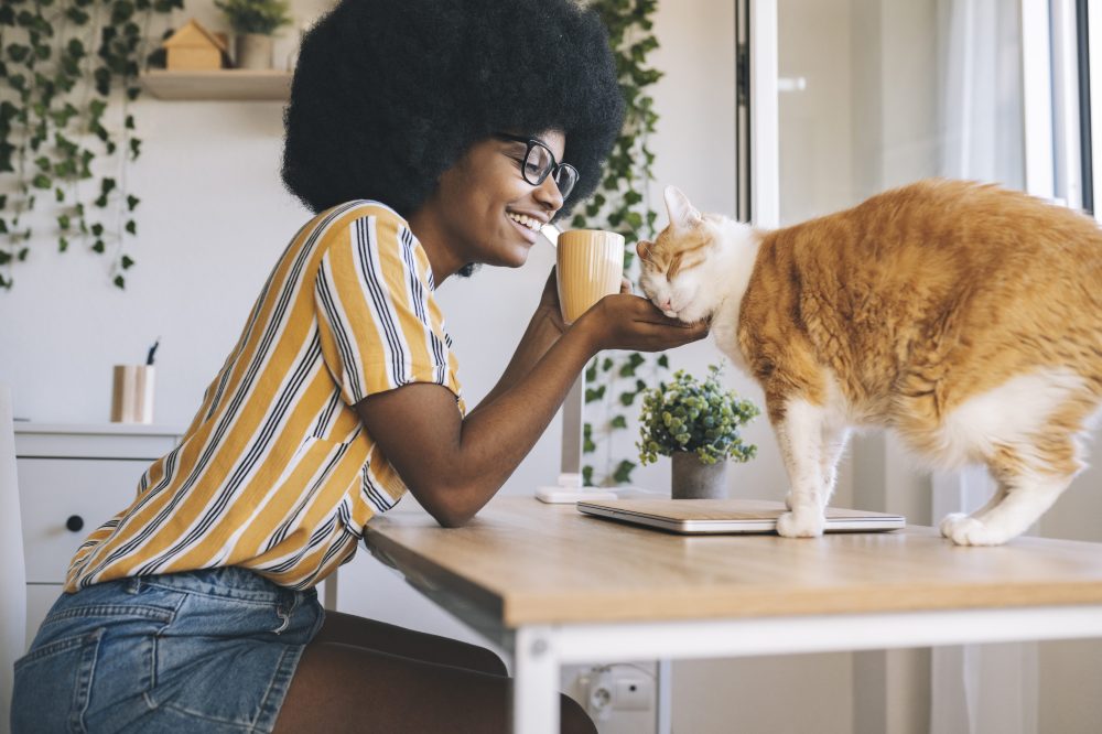 Hero image for The Full View of The Pet Industry: A Comprehensive Analysis of Consumer and Product Trends