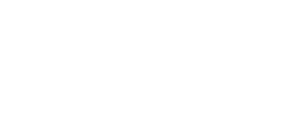 Immagine nel contenuto 33 di Linkontro 2026