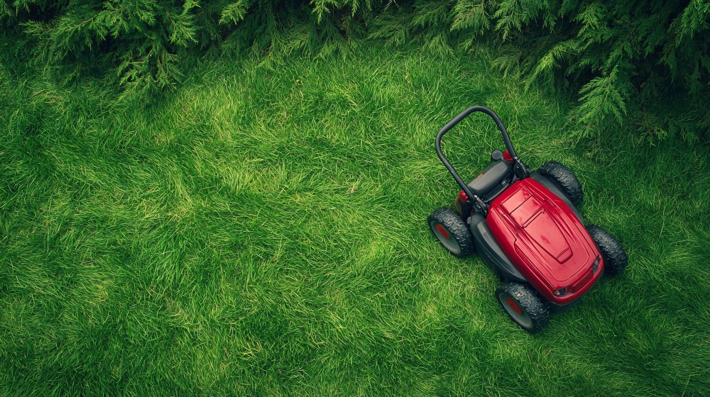 Hero image for Gartenprodukte und Grills im Aufwind