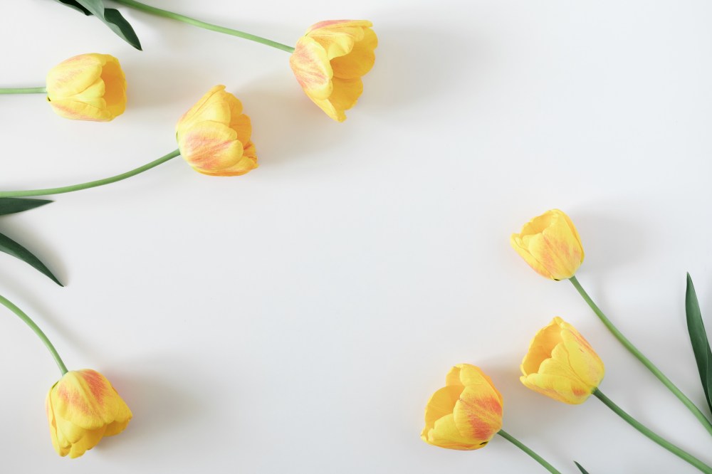 Hero image for Mother’s Day 2025 Forecast: Key Shopping Trends & Retail Opportunities