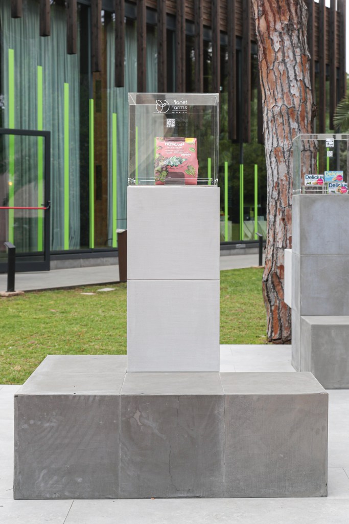 Immagine nel contenuto 151 di Galleria Linkontro 2025