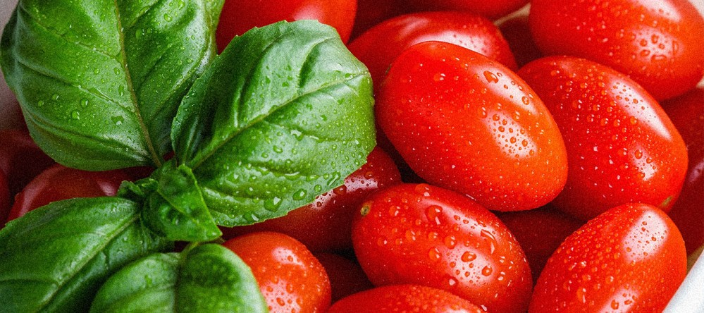 Hero image for Foodservice Price Index March 2025