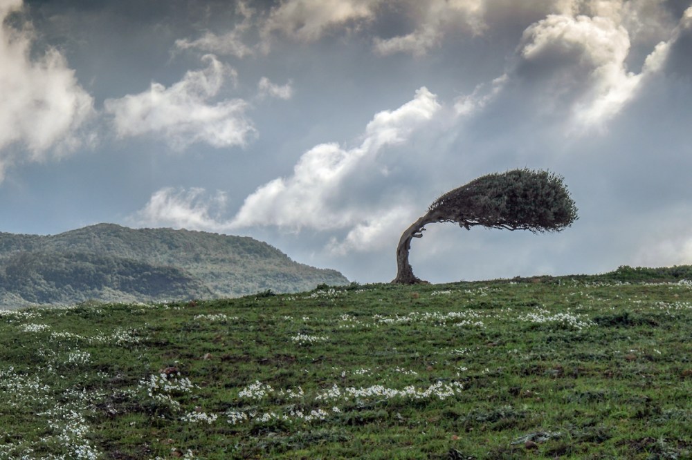 Imagen principal de El Manual de Resiliencia Empresarial
