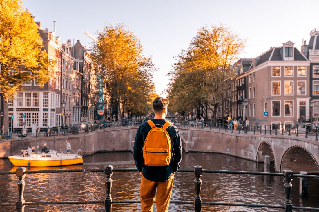 Afbeelding van Insight Summit Netherlands 2024