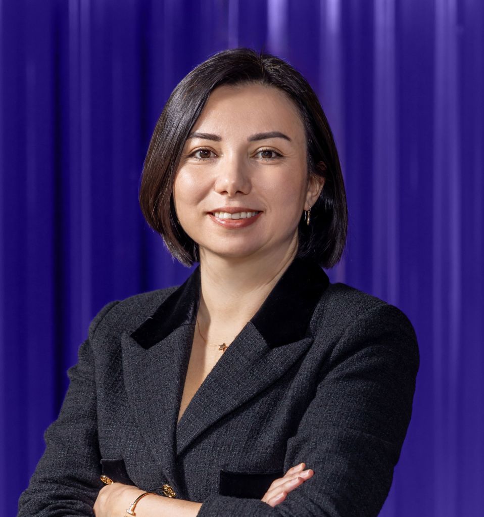 Inline image 13 for Digital Advisory Council, Turkiye – 2026