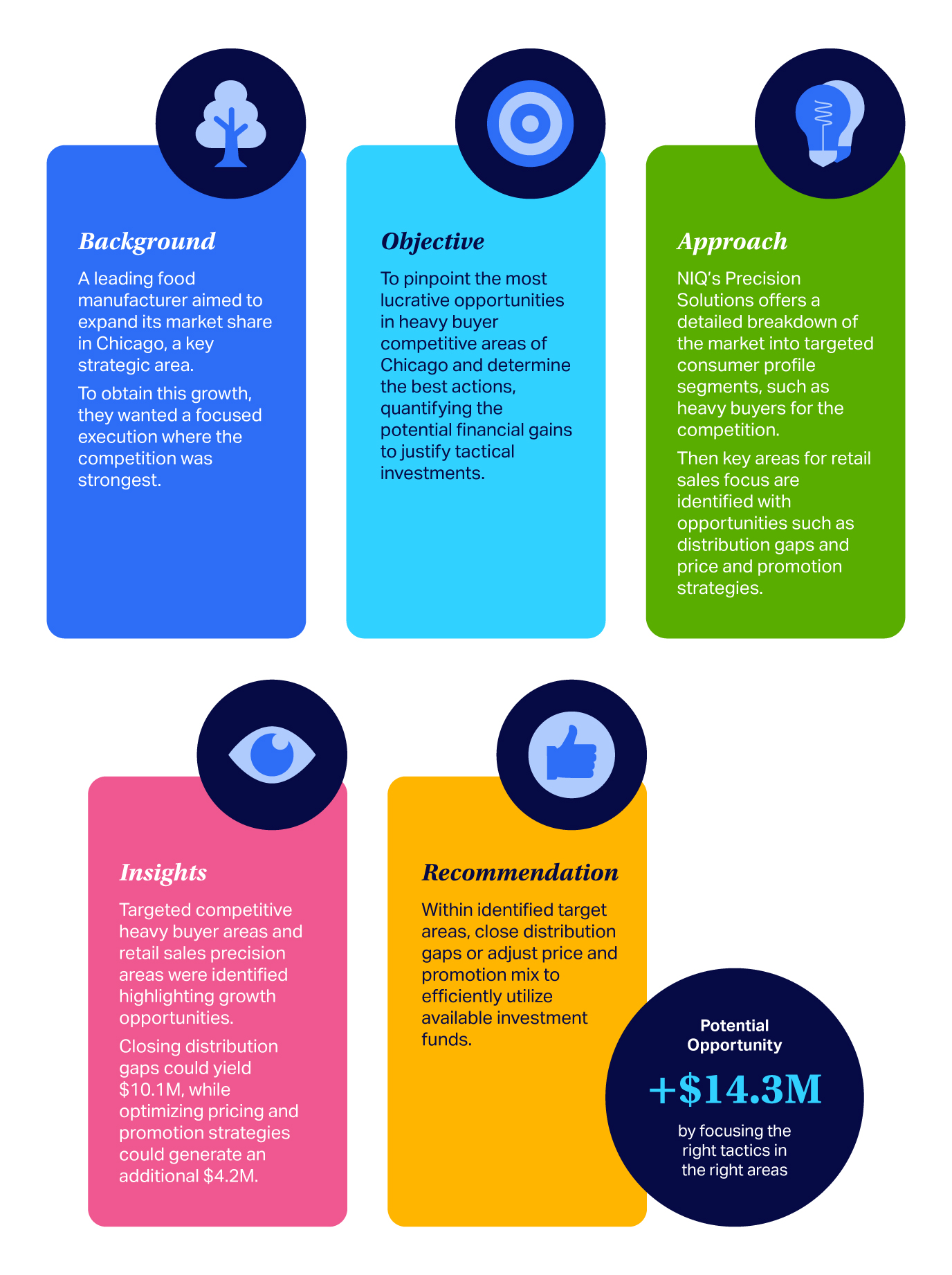 precision solution infographic