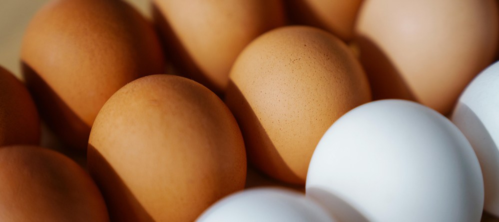 Hero image for Foodservice Price Index March 2026